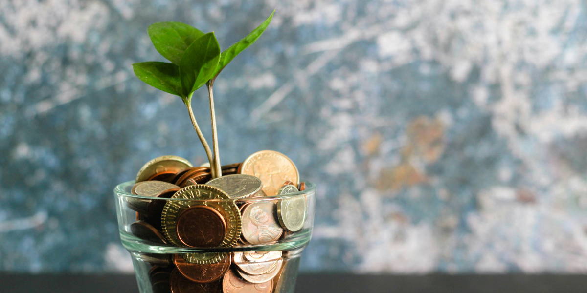 The R1 Economy. Micro Economies Realized